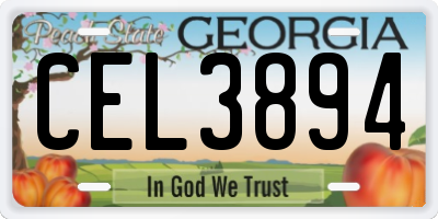 GA license plate CEL3894