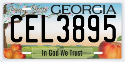 GA license plate CEL3895