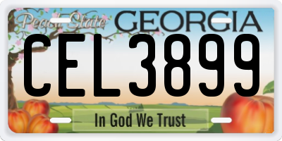 GA license plate CEL3899