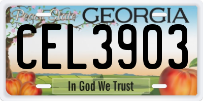 GA license plate CEL3903