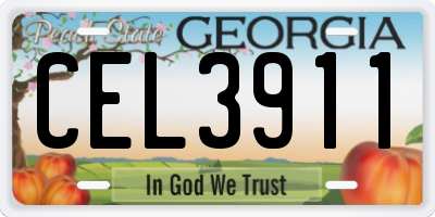 GA license plate CEL3911