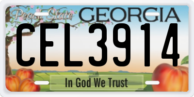 GA license plate CEL3914