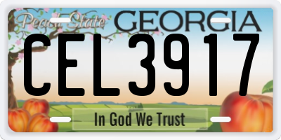 GA license plate CEL3917