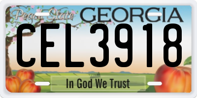GA license plate CEL3918