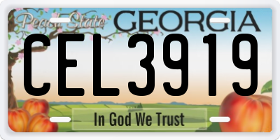 GA license plate CEL3919