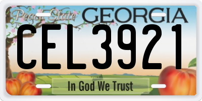 GA license plate CEL3921
