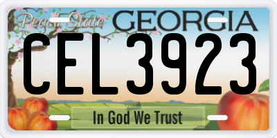 GA license plate CEL3923