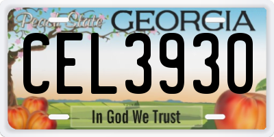 GA license plate CEL3930
