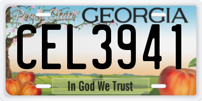 GA license plate CEL3941