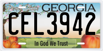 GA license plate CEL3942