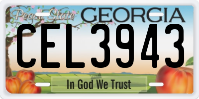 GA license plate CEL3943