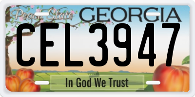 GA license plate CEL3947