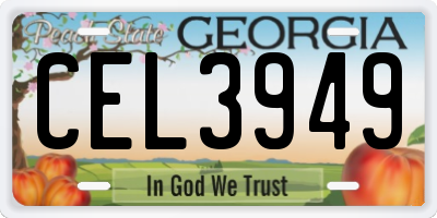 GA license plate CEL3949