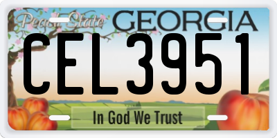 GA license plate CEL3951
