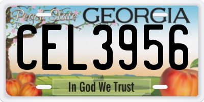GA license plate CEL3956