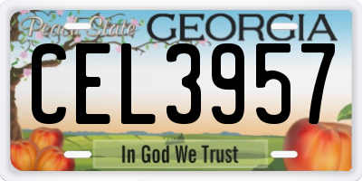 GA license plate CEL3957