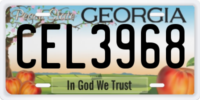 GA license plate CEL3968