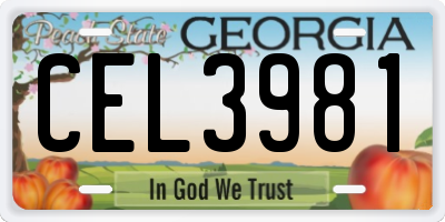 GA license plate CEL3981