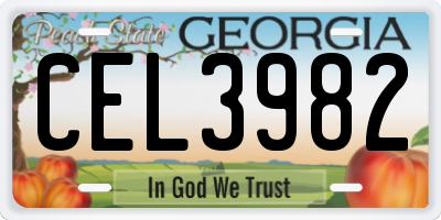 GA license plate CEL3982