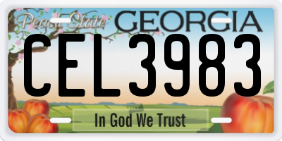 GA license plate CEL3983