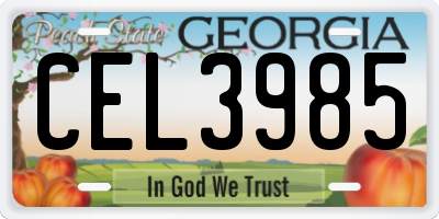 GA license plate CEL3985