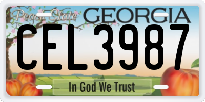 GA license plate CEL3987