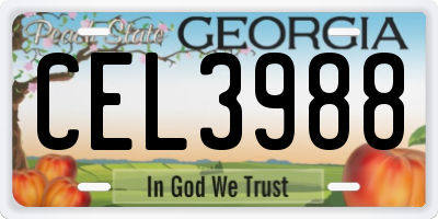 GA license plate CEL3988