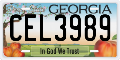 GA license plate CEL3989