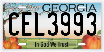 GA license plate CEL3993