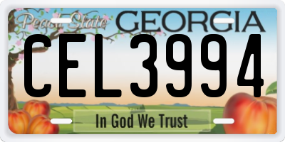 GA license plate CEL3994