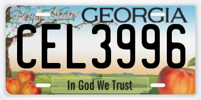 GA license plate CEL3996