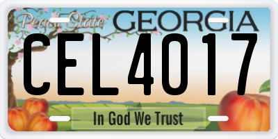 GA license plate CEL4017