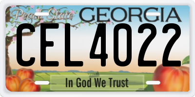 GA license plate CEL4022