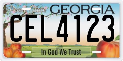 GA license plate CEL4123