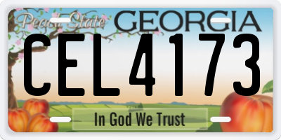 GA license plate CEL4173