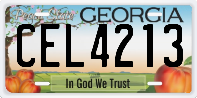 GA license plate CEL4213