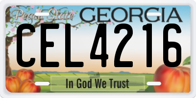 GA license plate CEL4216