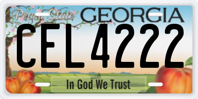 GA license plate CEL4222