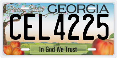 GA license plate CEL4225