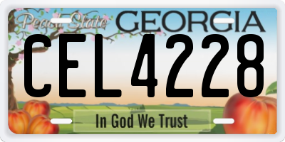 GA license plate CEL4228