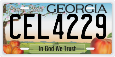 GA license plate CEL4229