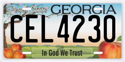 GA license plate CEL4230