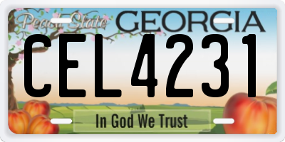 GA license plate CEL4231