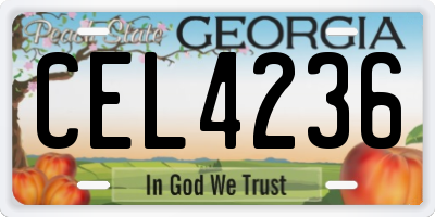 GA license plate CEL4236