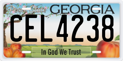 GA license plate CEL4238