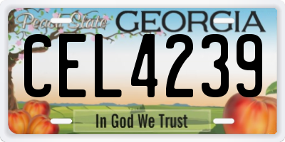 GA license plate CEL4239