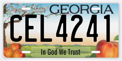 GA license plate CEL4241