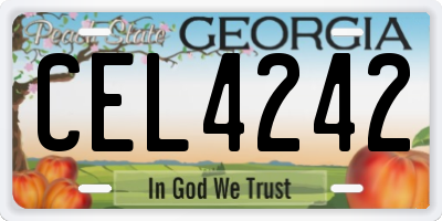 GA license plate CEL4242