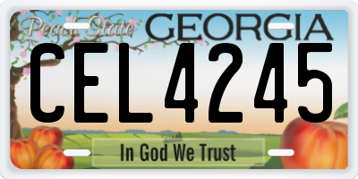 GA license plate CEL4245