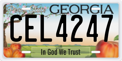 GA license plate CEL4247
